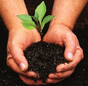 Jóvenes y Medio Ambiente